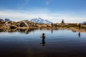 Yellow Aster Butte