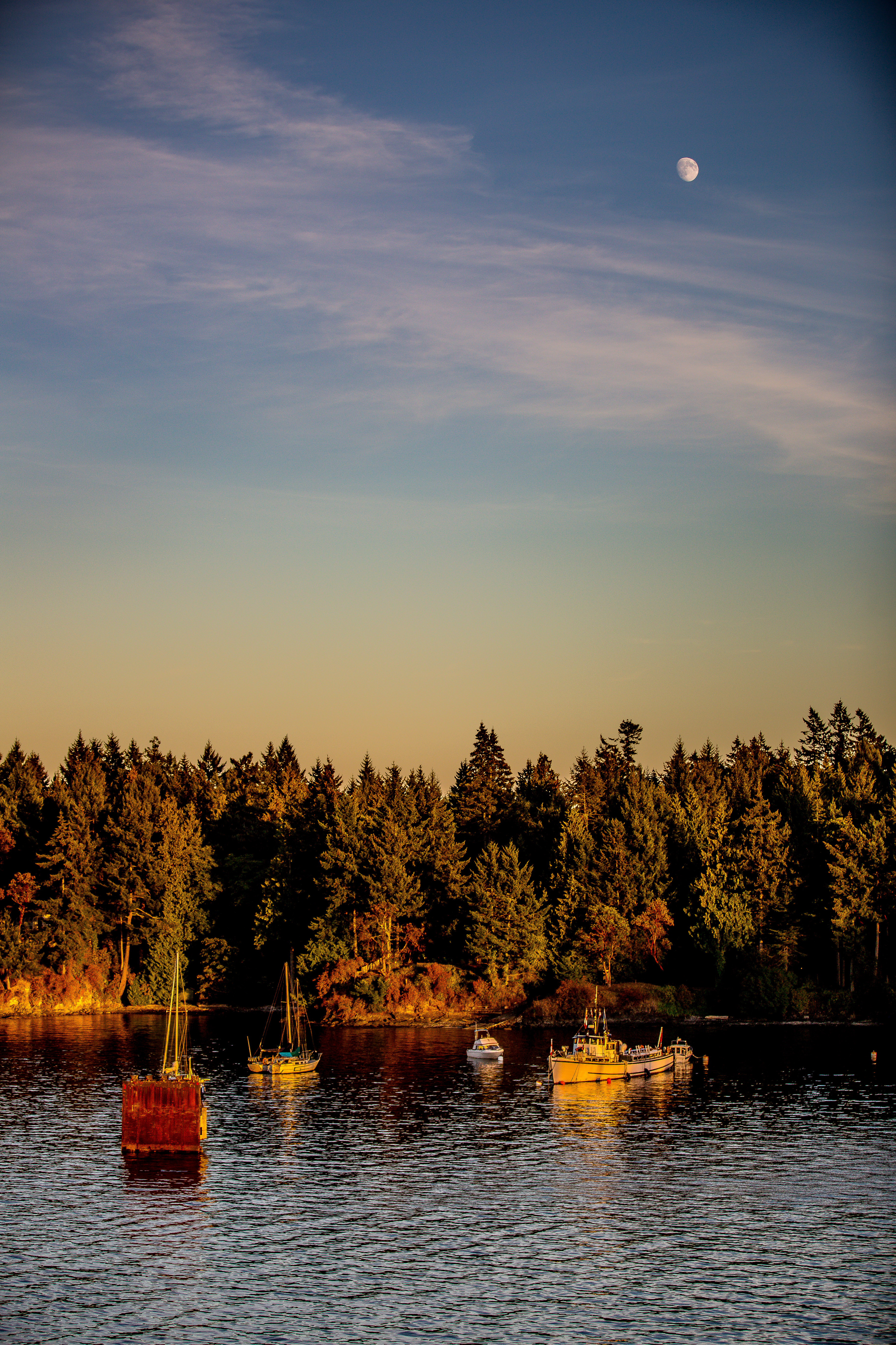 Take a Sunset Ride on the Tsawwassen-Swartz Bay Ferry