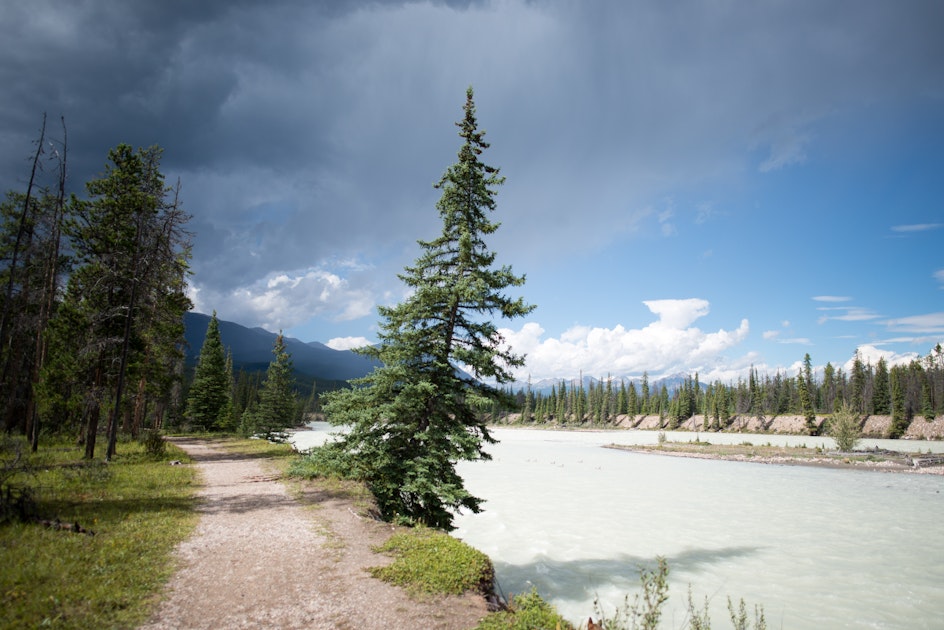 Camp at Wabasso Campground, Jasper NP, Jasper, Alberta