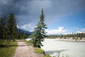 Wabasso Campground, Jasper NP