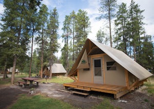 Camp at Whistler's Campground, Jasper NP