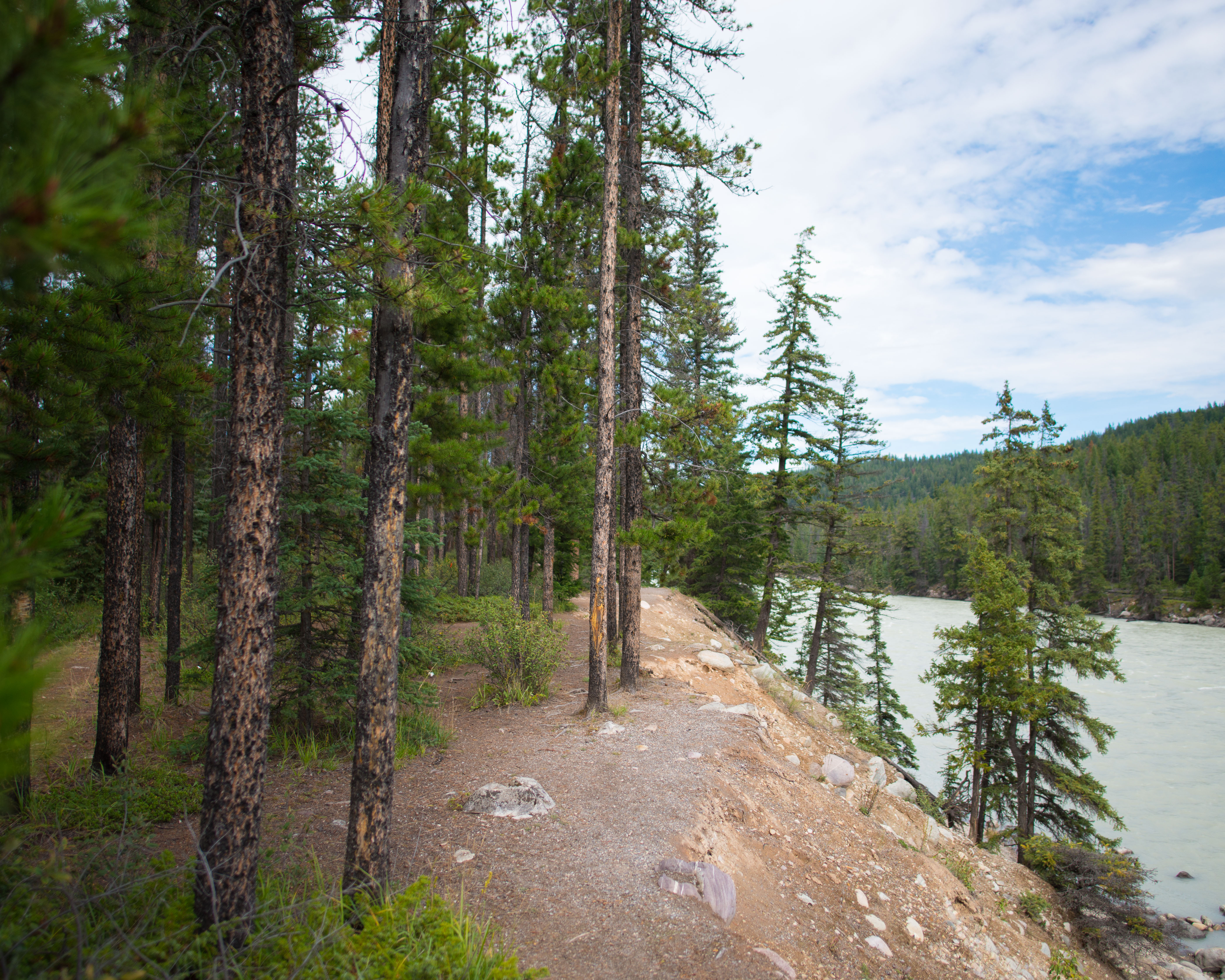 Camp at Wapiti Campground, Jasper NP