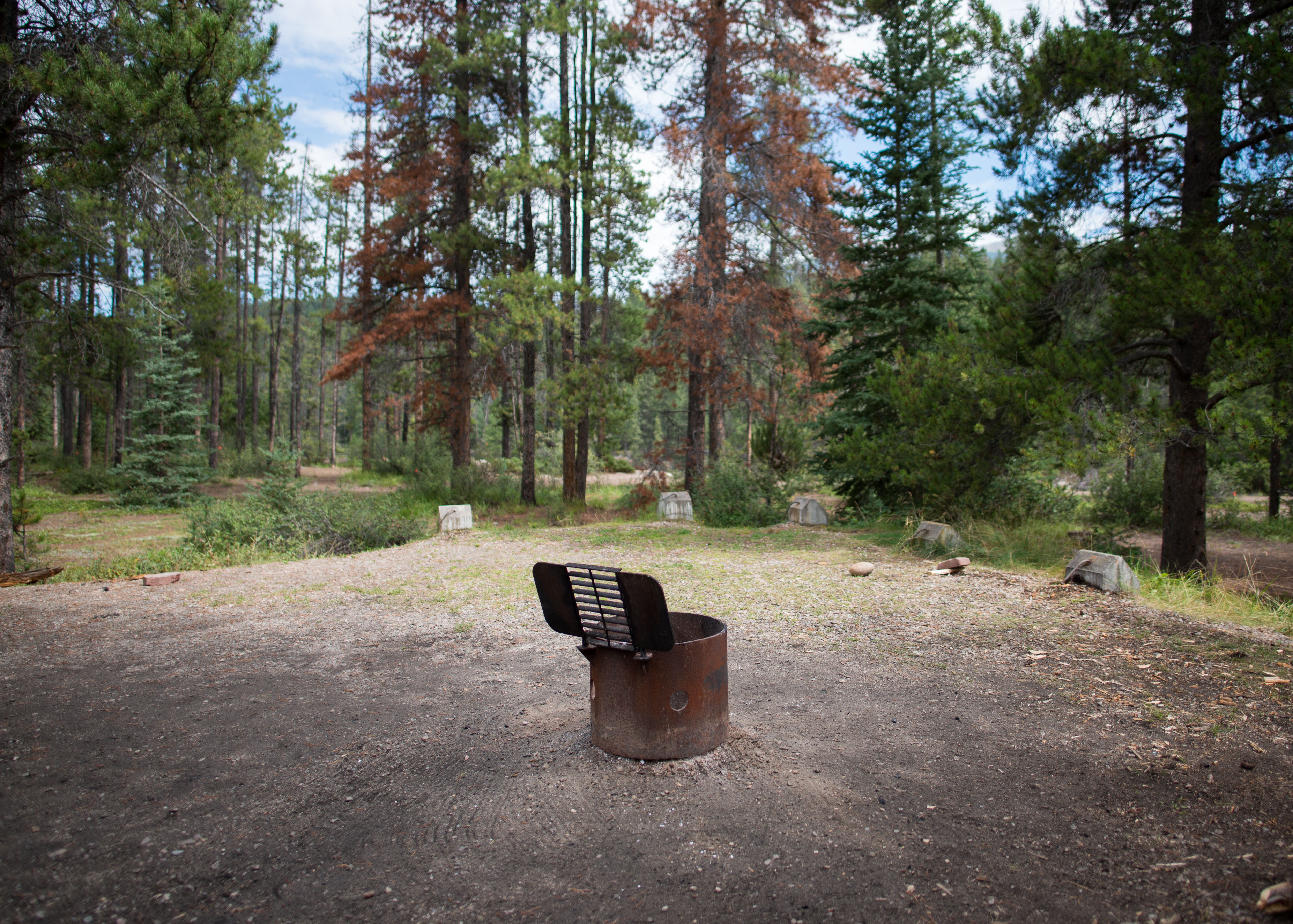 Camp at Wapiti Campground, Jasper NP