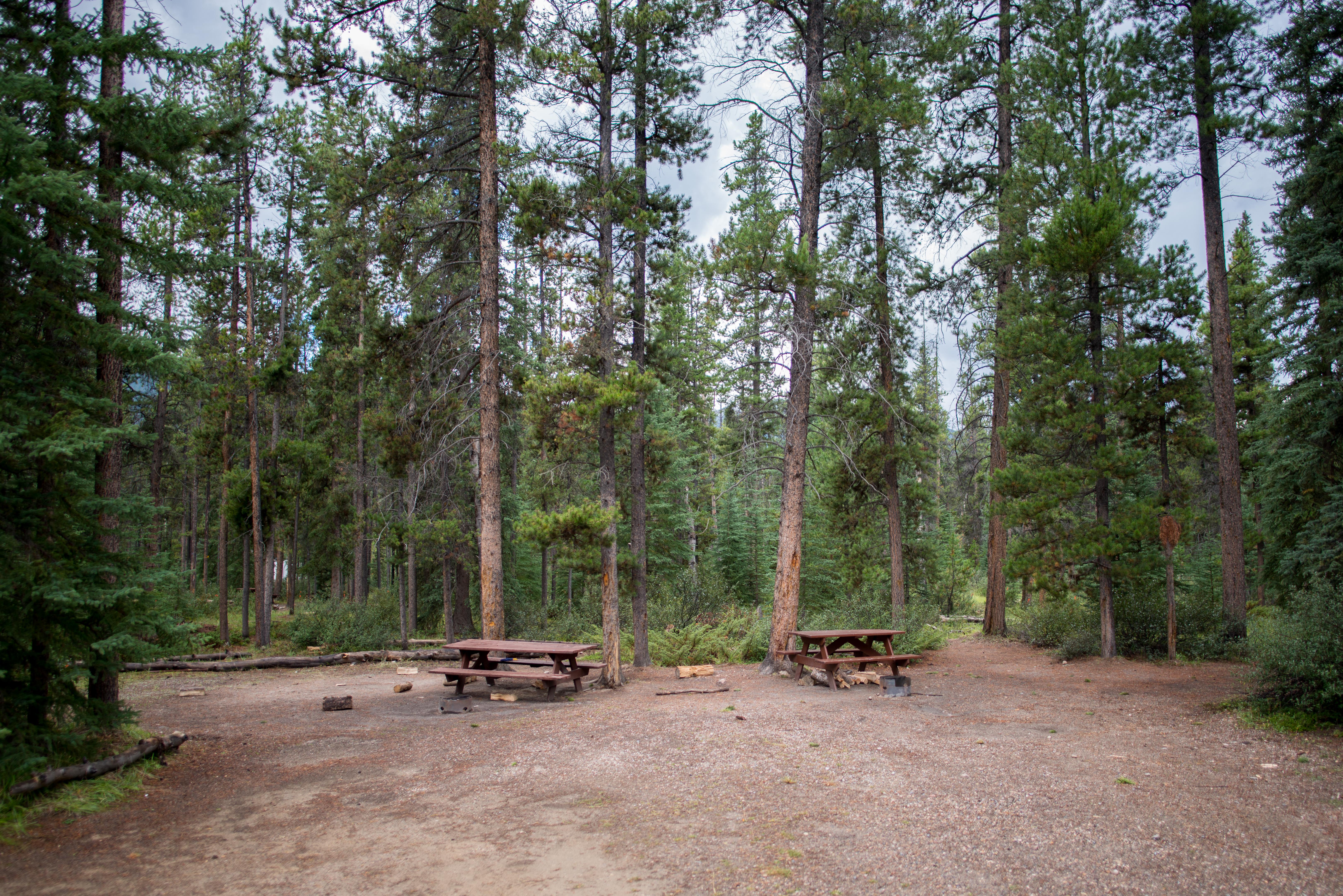 Camp at Wapiti Campground, Jasper NP