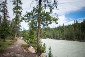 Camp at Wapiti Campground, Jasper NP