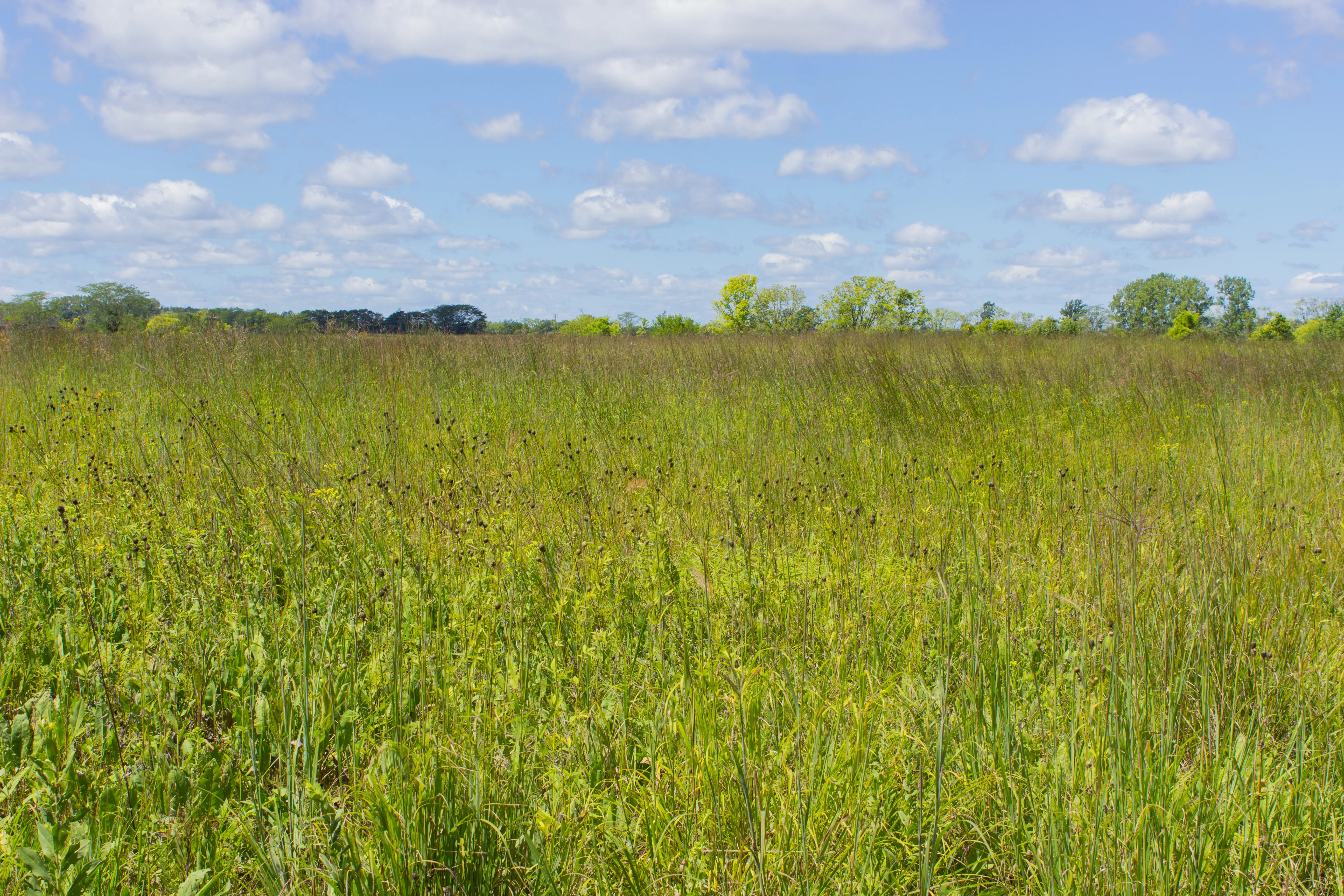 Hike the Darby Creek Trail