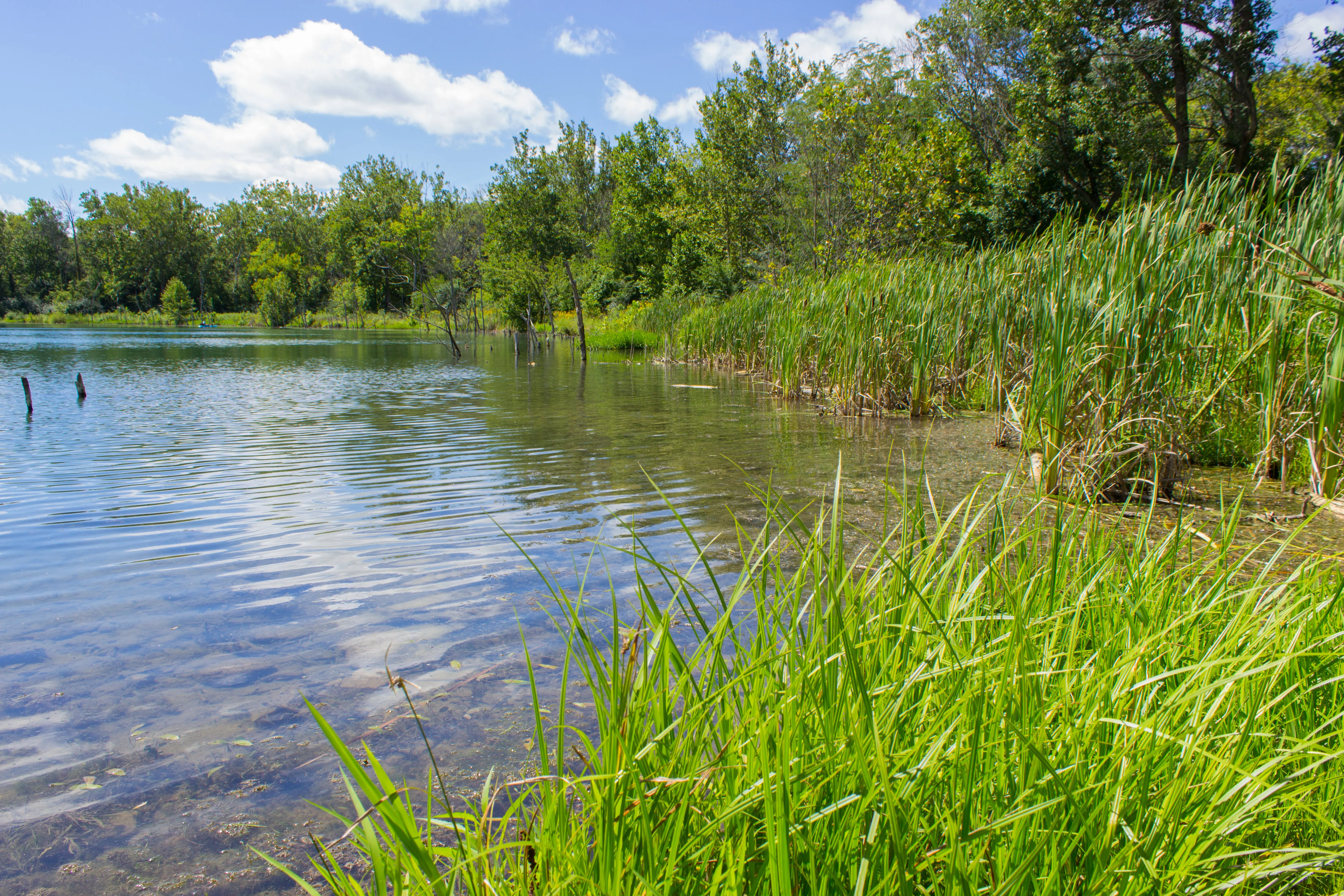 Hike the Darby Creek Trail