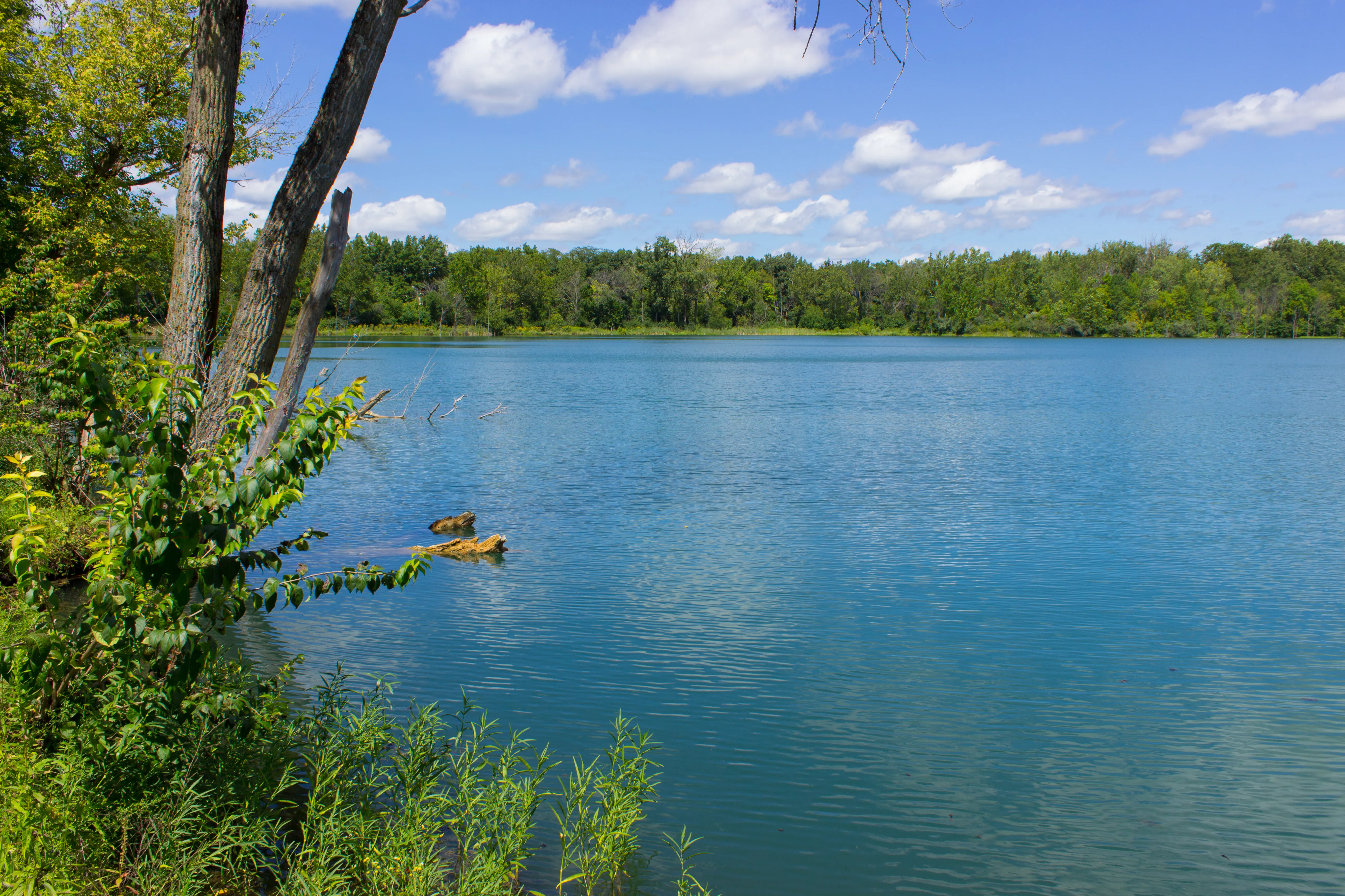 Hike the Darby Creek Trail