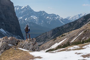 Hike Spencer Creek