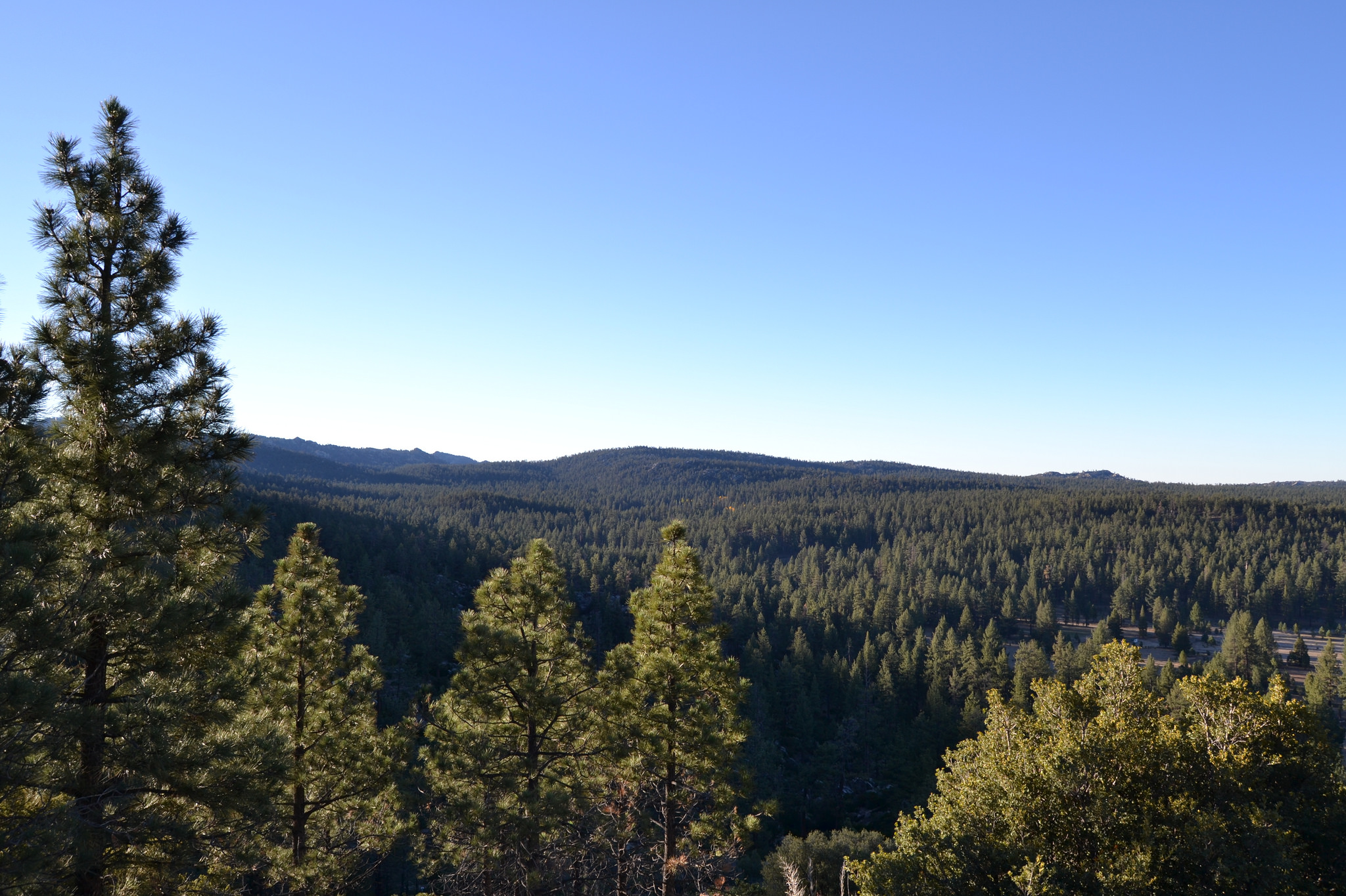 Hike the Altar Trail in the San Pedro Martir NF