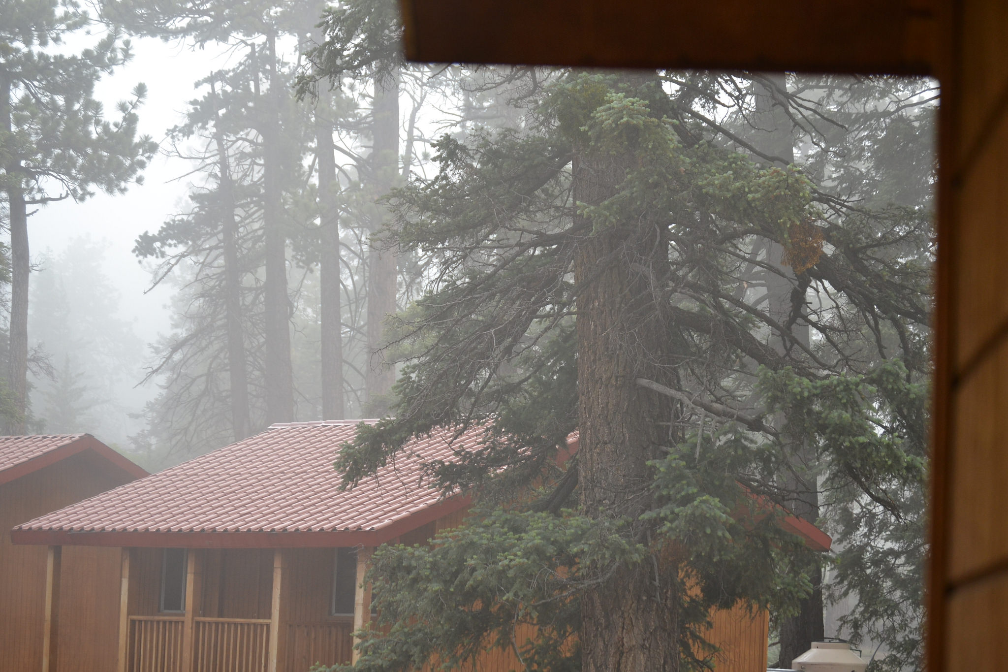 Hike the Altar Trail in the San Pedro Martir NF