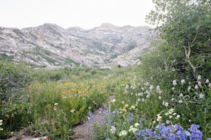 Camp at Angel Lake in the Ruby Mountains