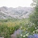 Camp at Angel Lake in the Ruby Mountains