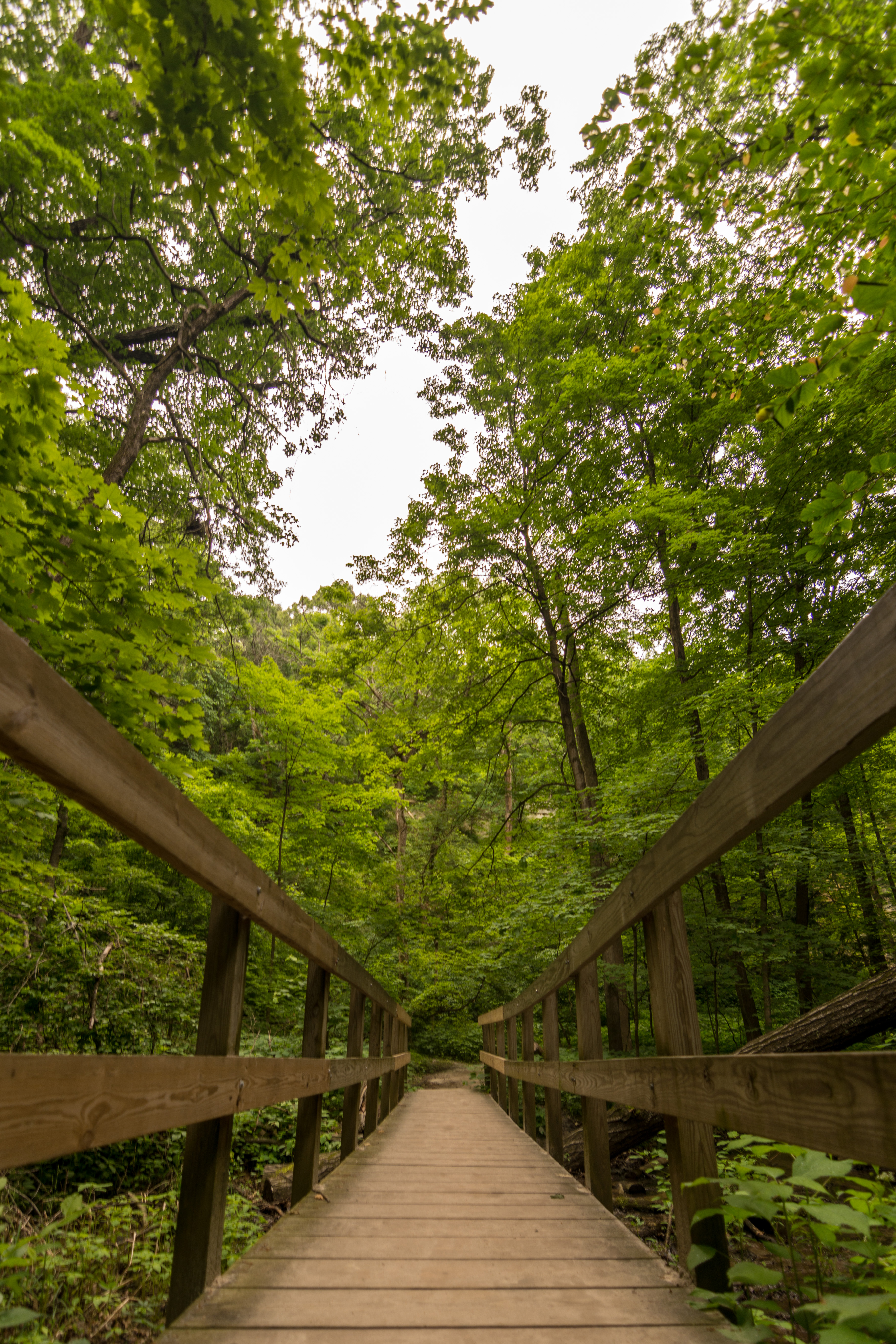 St. Louis Canyon