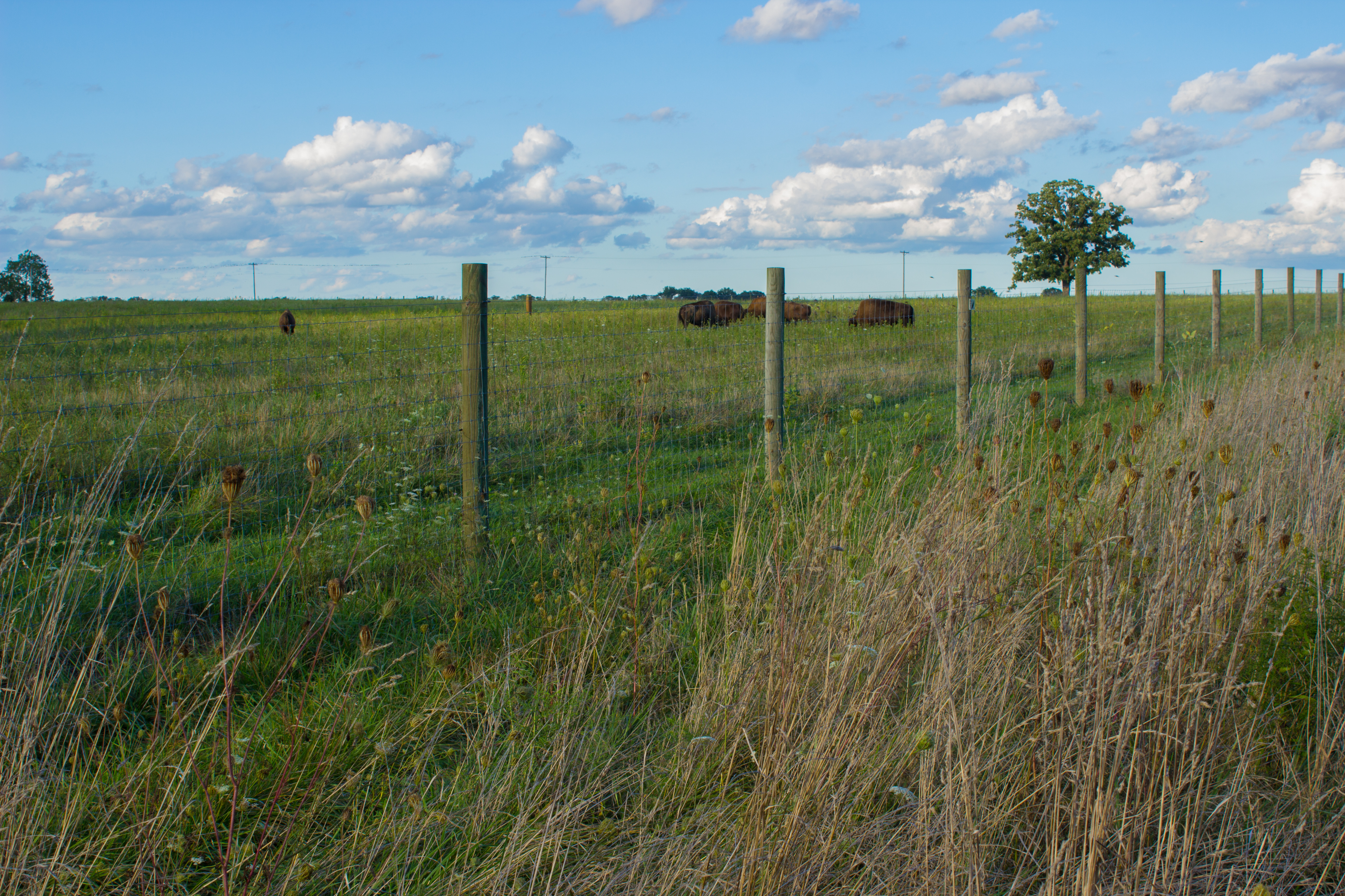 Hike the Darby Creek Greenway