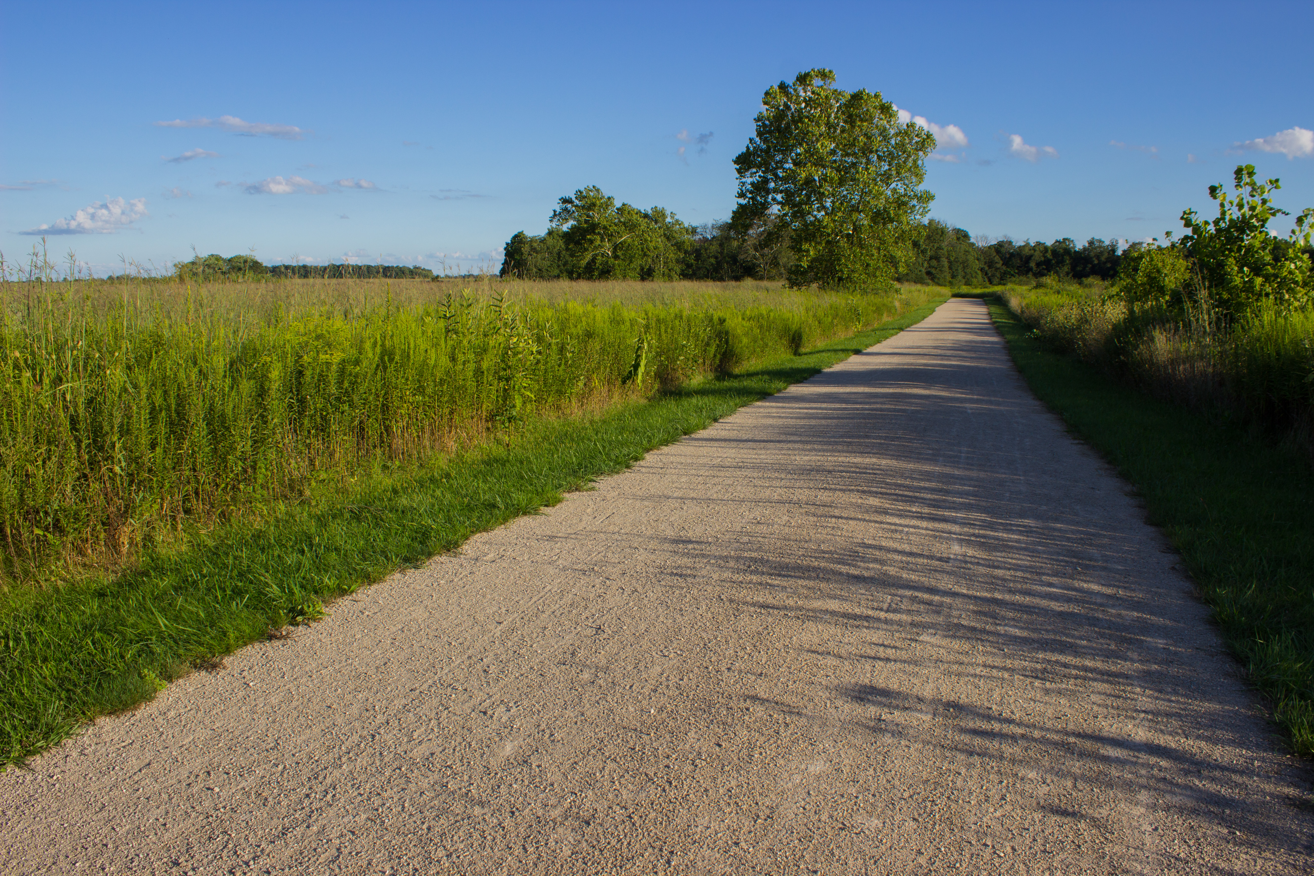 Hike the Darby Creek Greenway