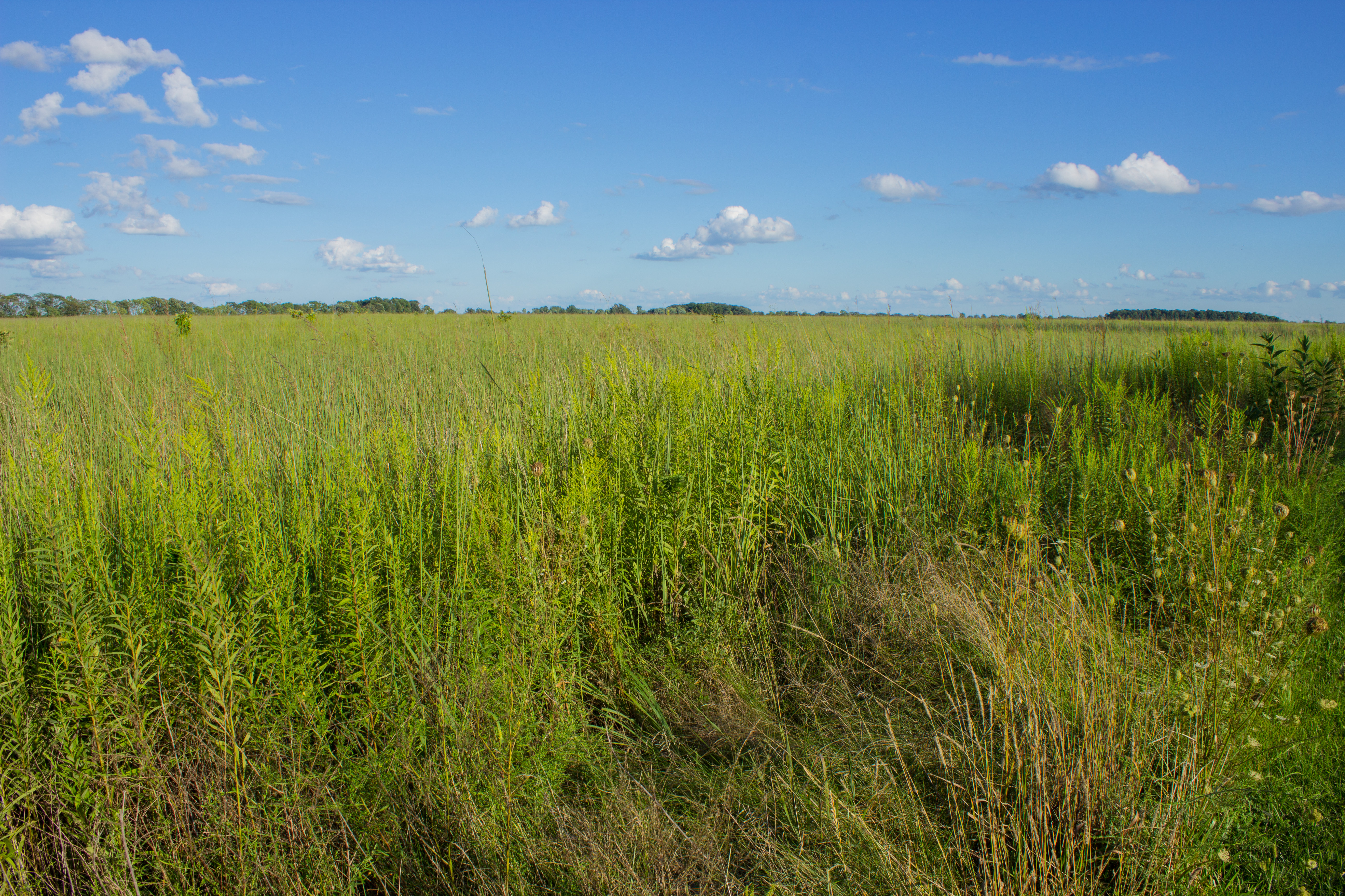 Hike the Darby Creek Greenway