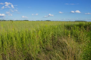 Hike the Darby Creek Greenway