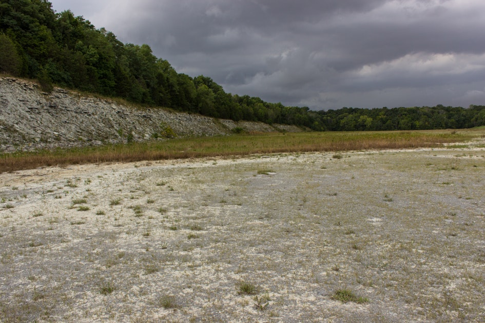 Photo of Fossil Hunt at Caesar Creek