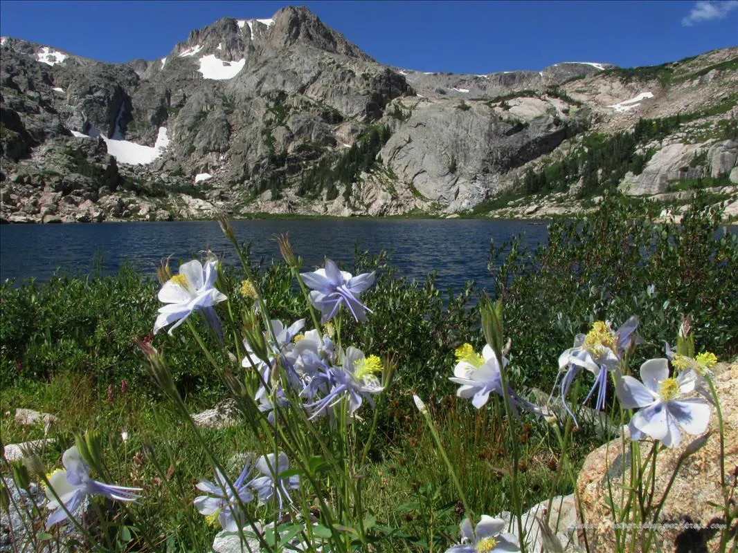 Hike to Bluebird and Ouzel Lake