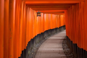 Hike the Torii Gates to Mount Inari Peak