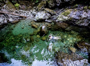 Swim at the Lynn Canyon Swimming Hole