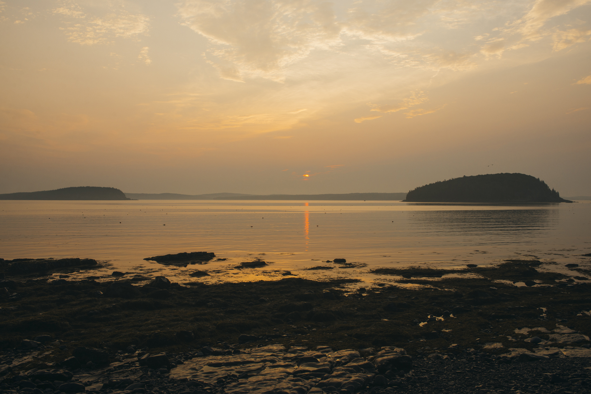 Bar Harbor Shore Path 