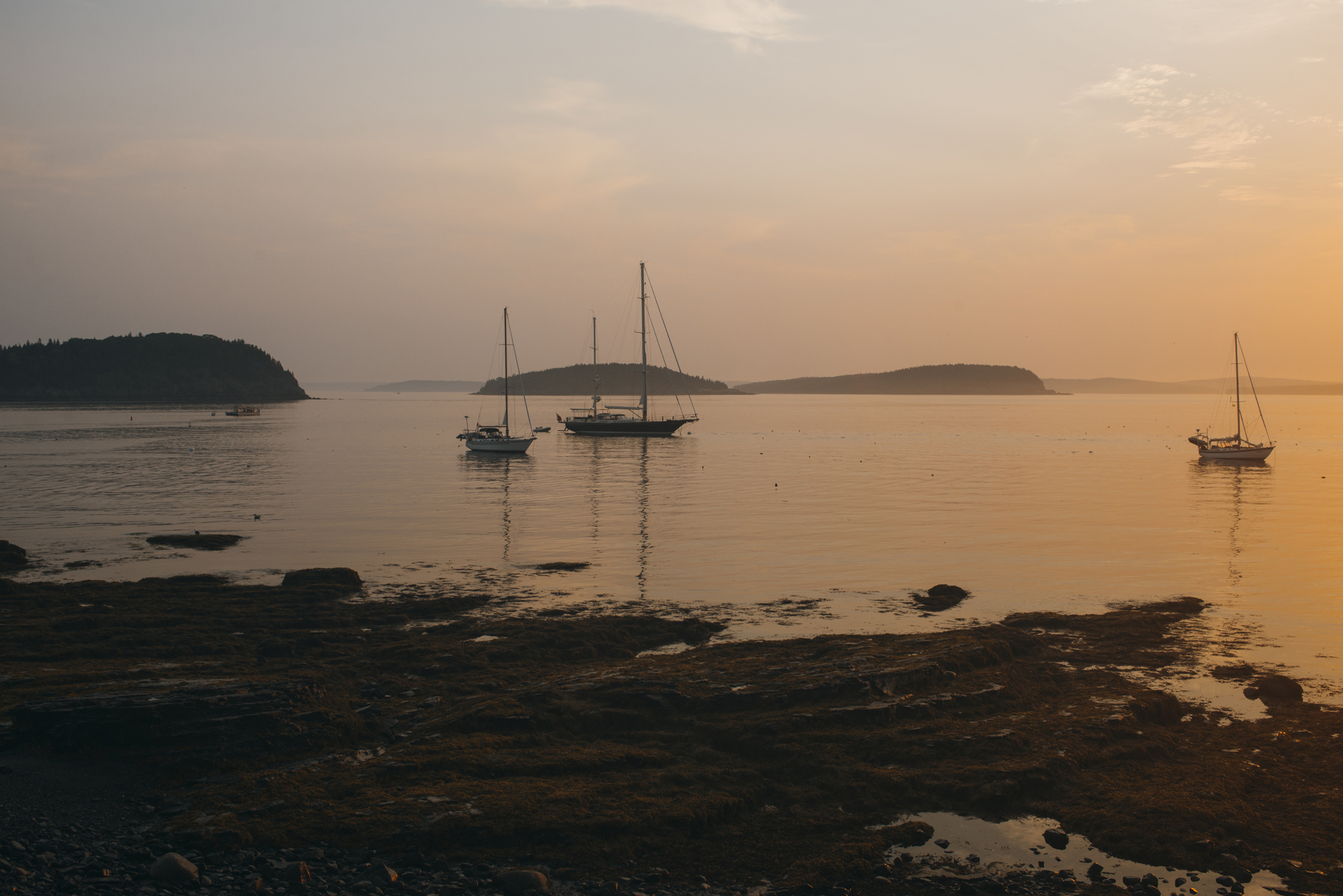 Bar Harbor Shore Path 