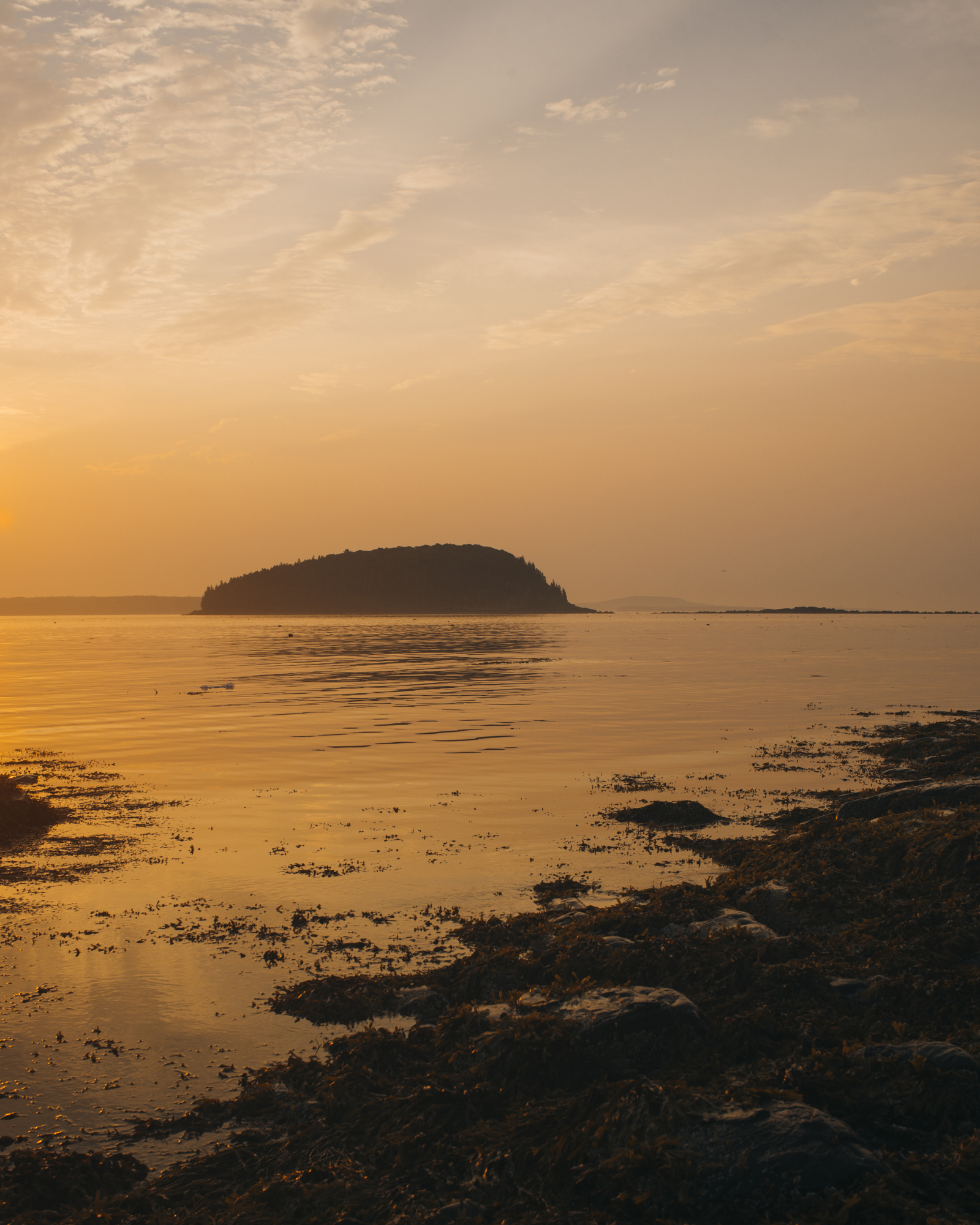 Bar Harbor Shore Path 