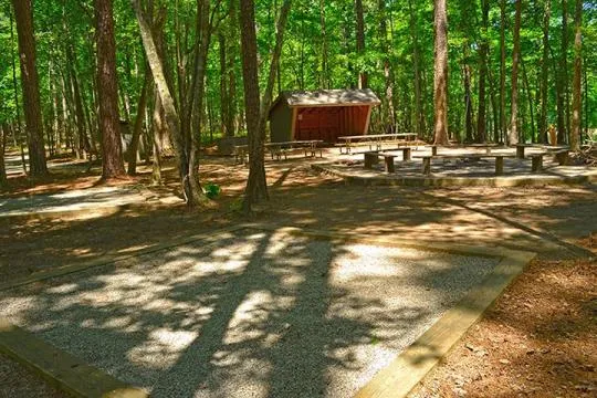 Mistletoe State Park Campground Loop