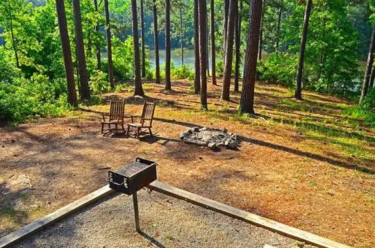 Mistletoe State Park Campground Loop