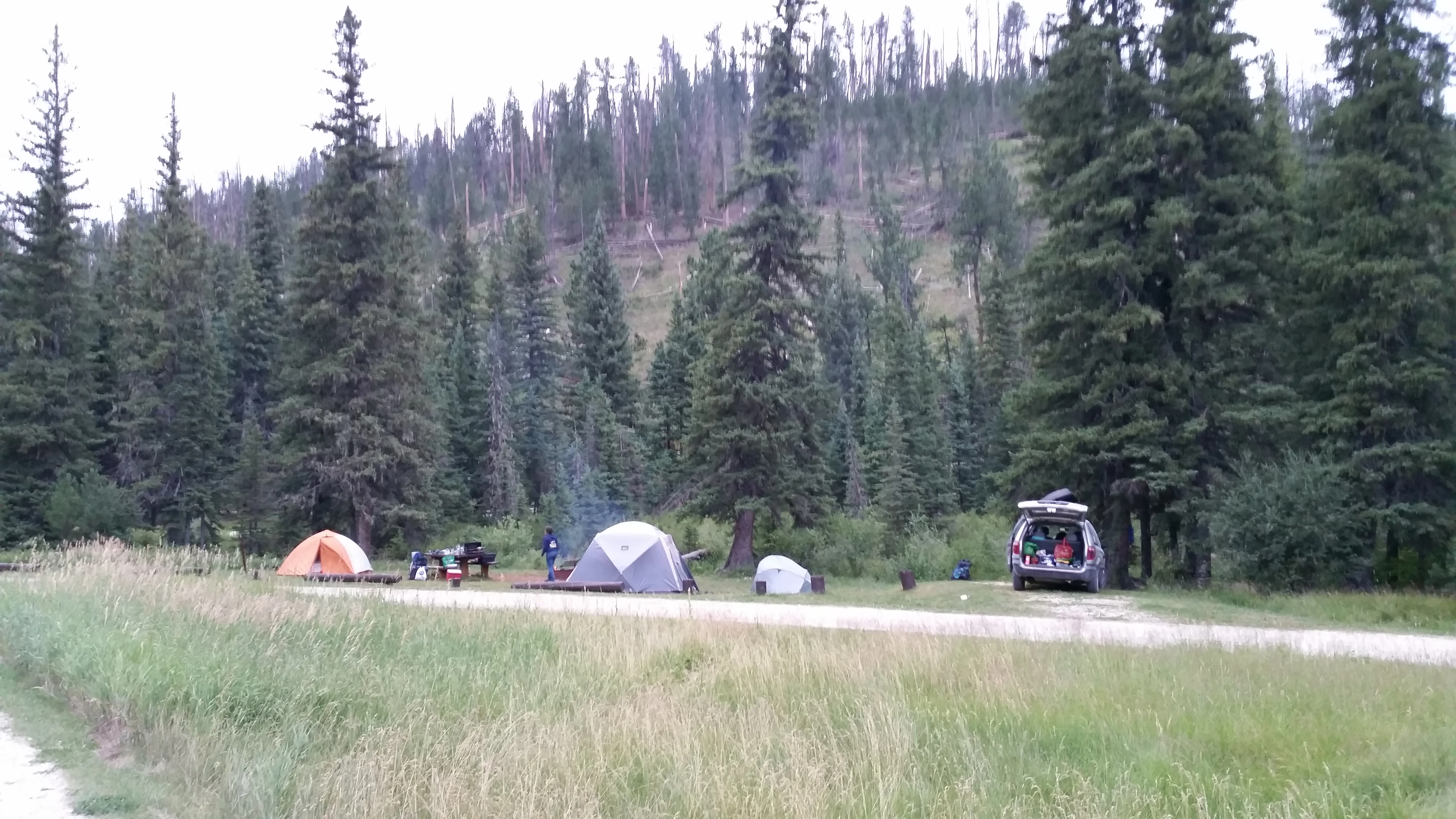Camp at Black Fox Campground