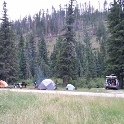 Camp at Black Fox Campground