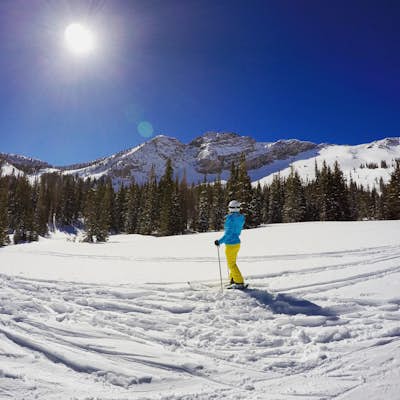 Ski in Alta, Utah