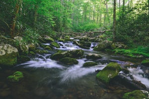 Kephart Prong Trail, Great Smoky Mountains NP