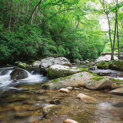 Hike the Cucumber Gap and Little River Loop