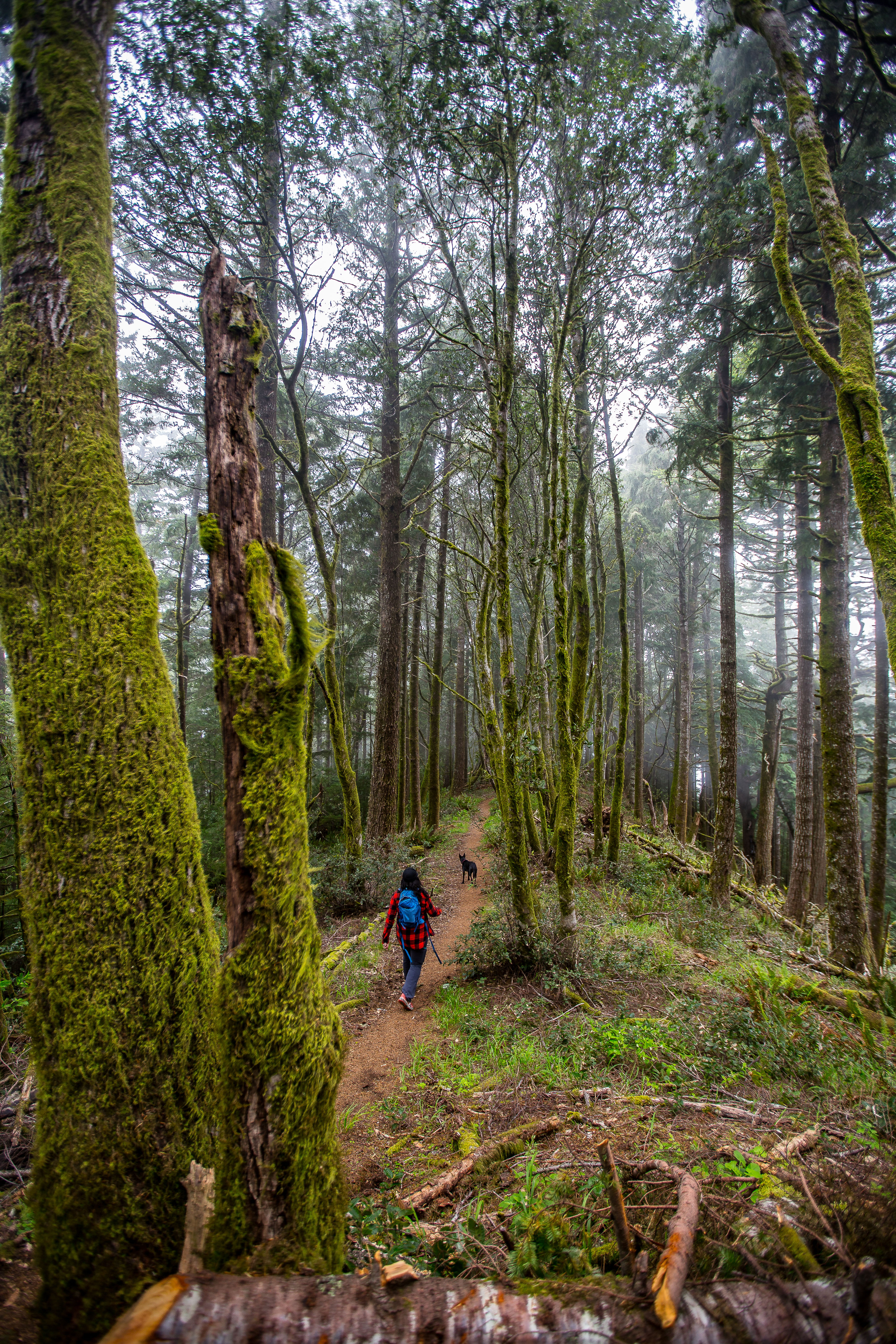 Humbug Mountain Loop