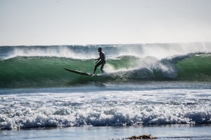 Surf Pacific City