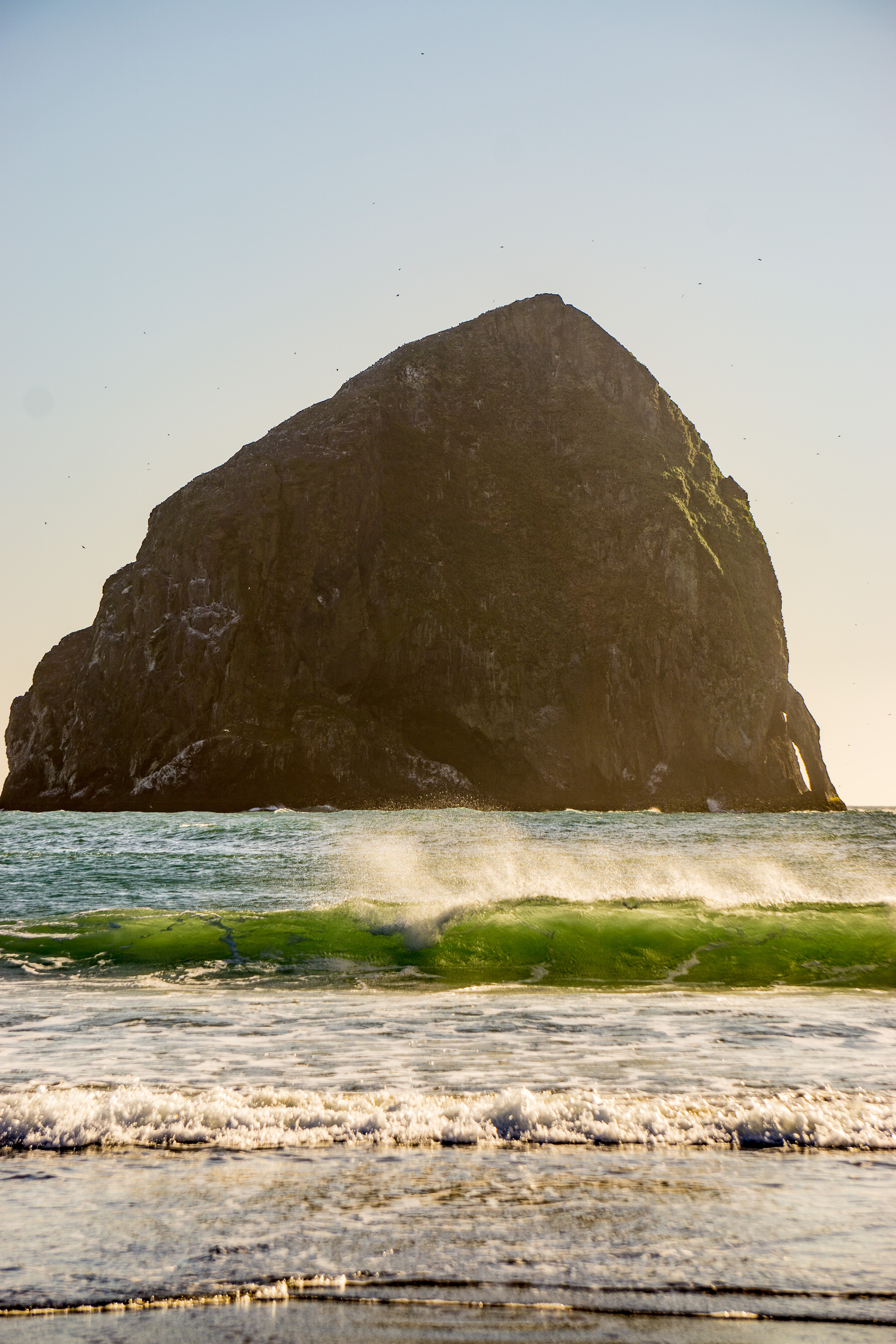 Surf Pacific City