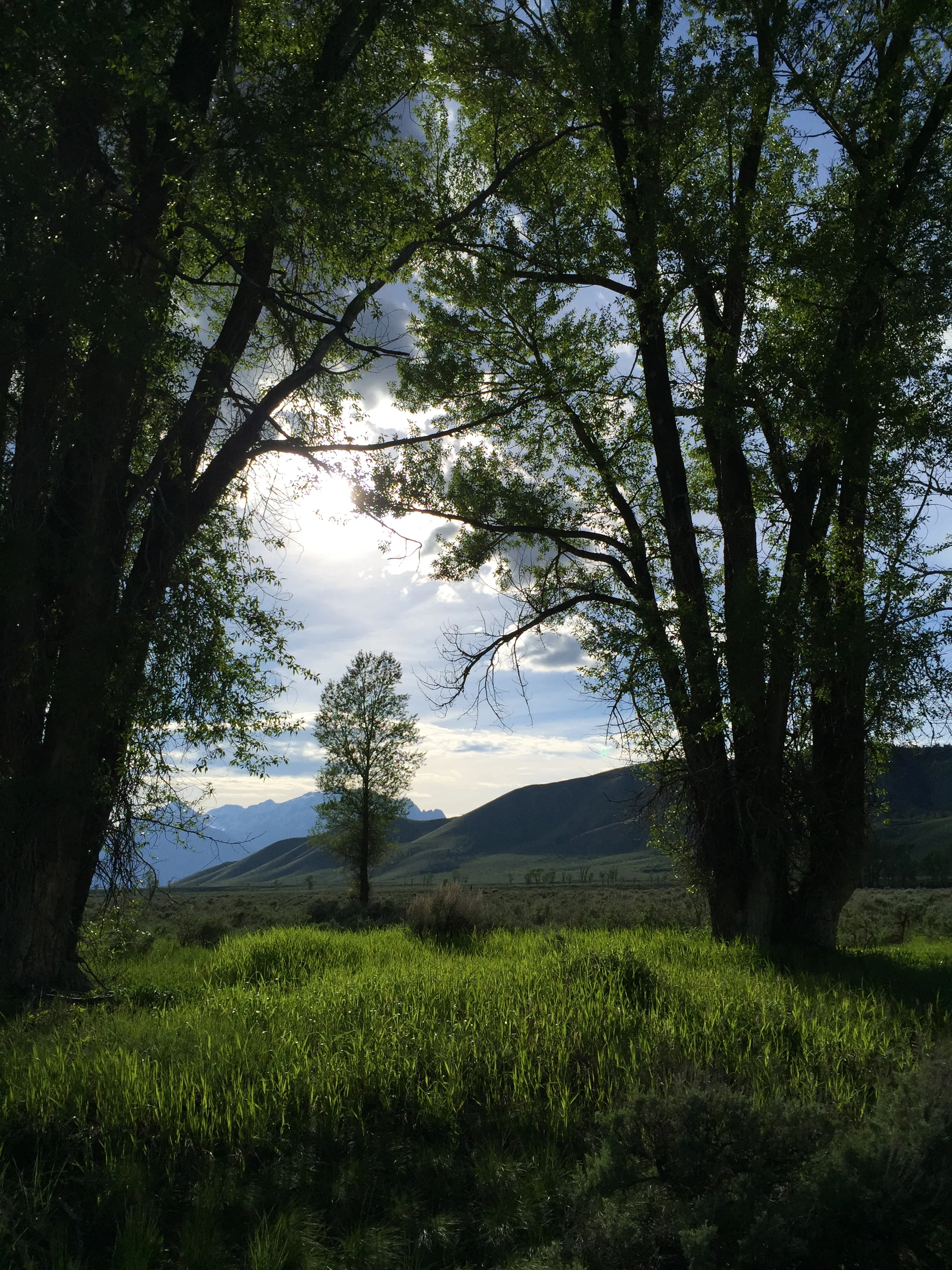 Camp at the Gros Ventre Campground