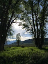 Camp at the Gros Ventre Campground