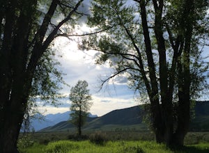 Camp at the Gros Ventre Campground