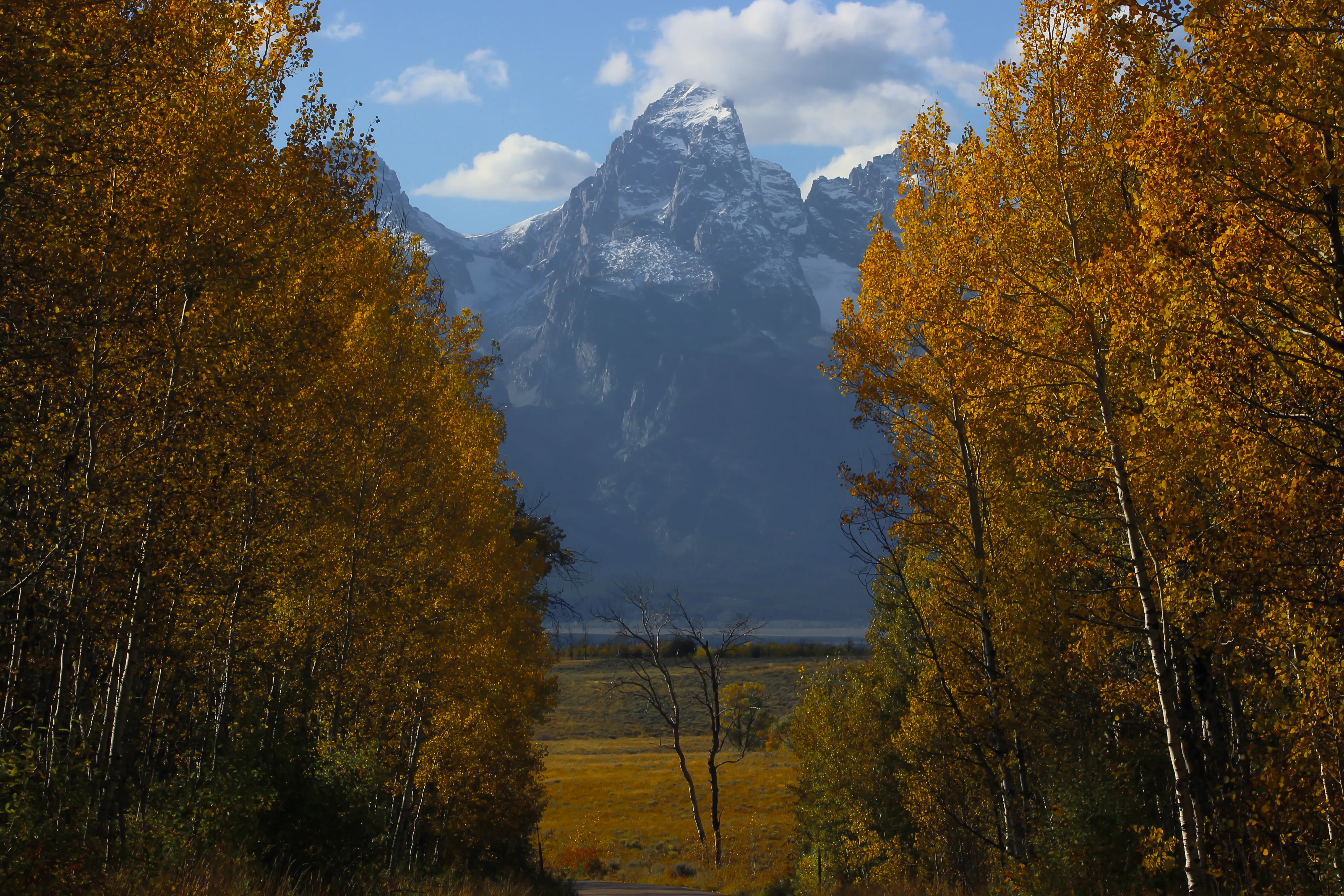 Camp at the Gros Ventre Campground