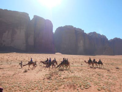 Camel Ride Through Wadi Rum