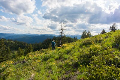 Hike to Kenelty Mountain Lookout