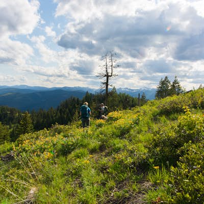 Hike to Kenelty Mountain Lookout