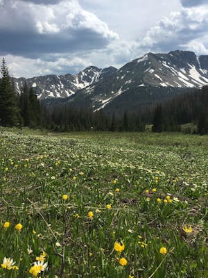 Backpack and Traverse the Never Summer Range in RMNP