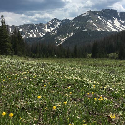 Backpack and Traverse the Never Summer Range in RMNP