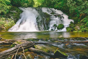 Tom Branch and Indian Creek Falls