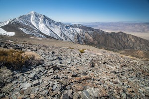 Summit Telescope Peak